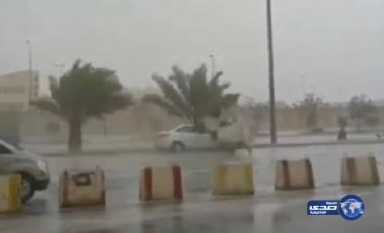 بالفيديو.. سيارة ترتطم بحاوية نفايات كبيرة بعد أن دفعتها الرياح القوية إلى وسط الشارع