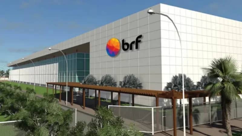شركة "بي. آر.إف" البرازيلية تستأنف صادرات الدجاج إلى المملكة