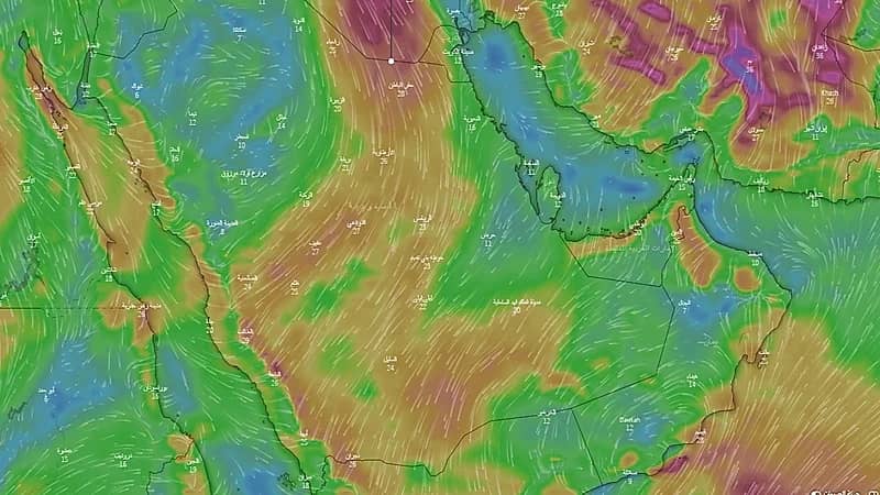 "الحصيني": أجواء حارة على معظم المناطق نهارا تميل للاعتدال فجرا