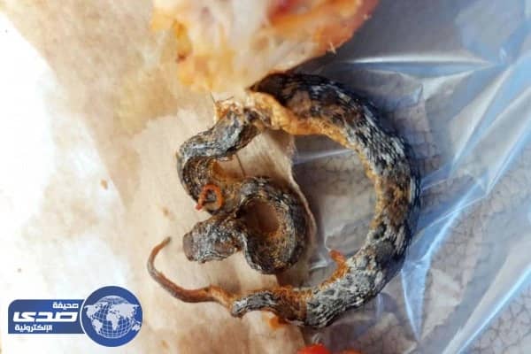 بالصور.. العثور على ثعبان سام داخل دجاجة مطبوخة ببارق