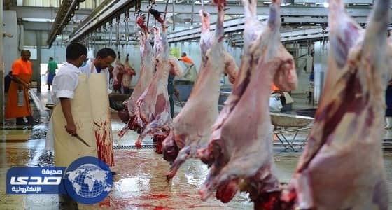 أمانة منطقة الرياض: مسالخ البرنامج الموسمي تستقبل 52569 أضحية خلال يومين