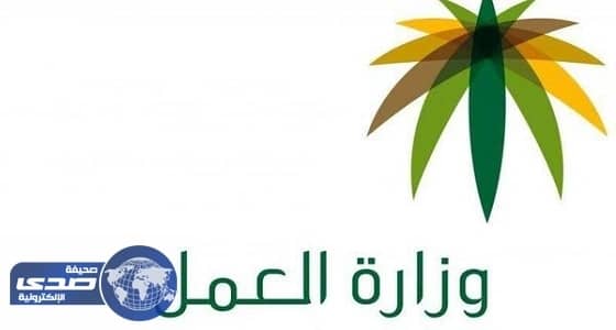 " العمل " : الصناديق العائلية تخضع لنظام المؤسسات الأهلية