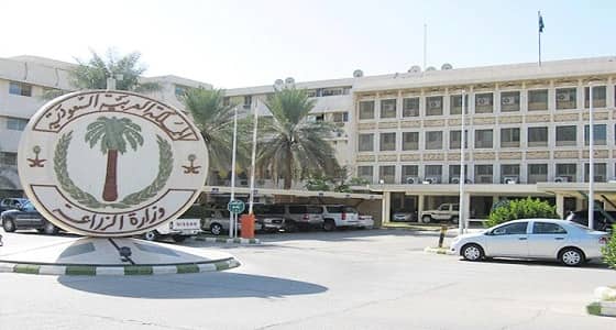 مذكرة تفاهم بين " النقل " و " الزراعة " لتشجير القصيم