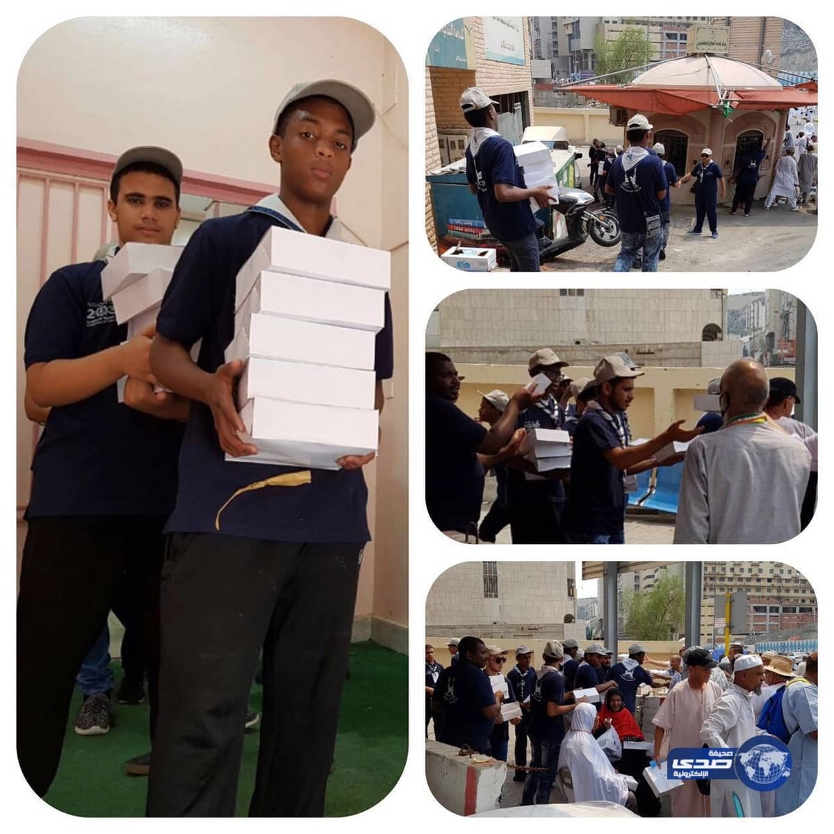 مختص يكشف عن الفرص التي ستتيحها مبادرة الشرق الأوسط الأخضر للدول المشاركة "فيديو"