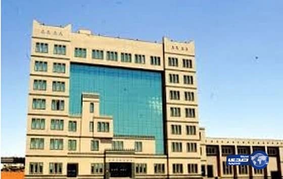 أمانة الباحة تغلق وتغرم أكثر من 800 محل