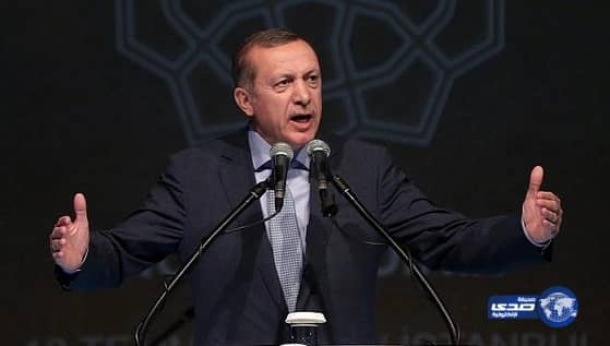 مصر مستاءة من تصريحات أردوغان