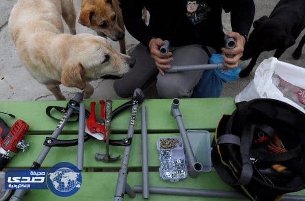 ملجأ خاص للكلاب المعاقة في تايوان