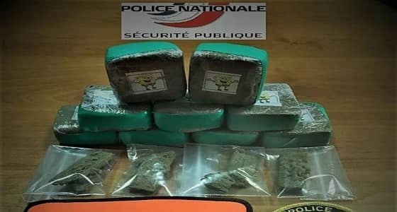 حشيش " سبونج بوب " يلقى رواجا واسعا