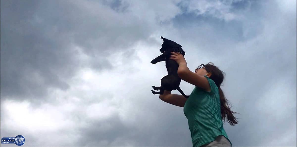 موقف مُحرج لعارضة أزياء بسبب " شبل "