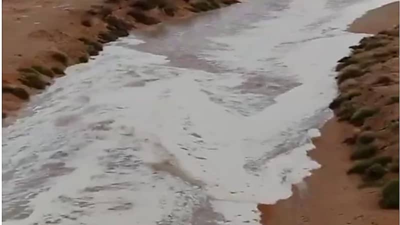 سيل يمشي باتجاهين متعاكسين في نفس الوادي.. فيديو