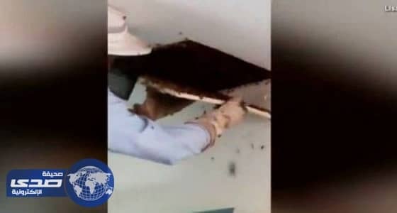 بالفيديو.. سمعت أصوات غريبة في منزلها وما اكتشفته صادم