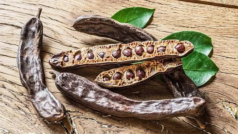 تحسين الهضم وعلاج الإسهال.. أبرز فوائد الخروب