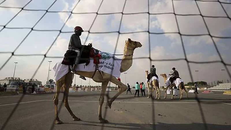 انطلاق مبارتي كرة يد بين الهجانة لأول مرة في قطر