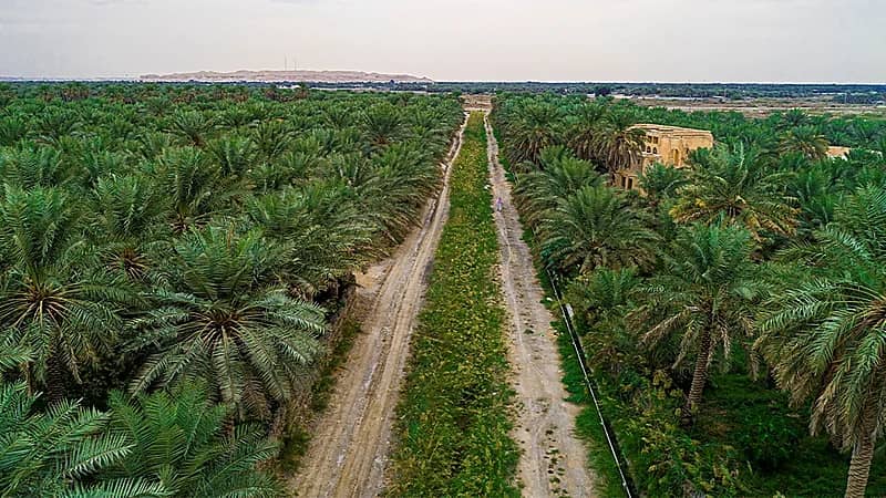 الأحساء ثاني أعلى درجة حرارة في العالم