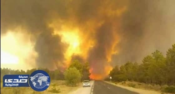 مقتل 9 أشخاص في حرائق غابات بالجزائر