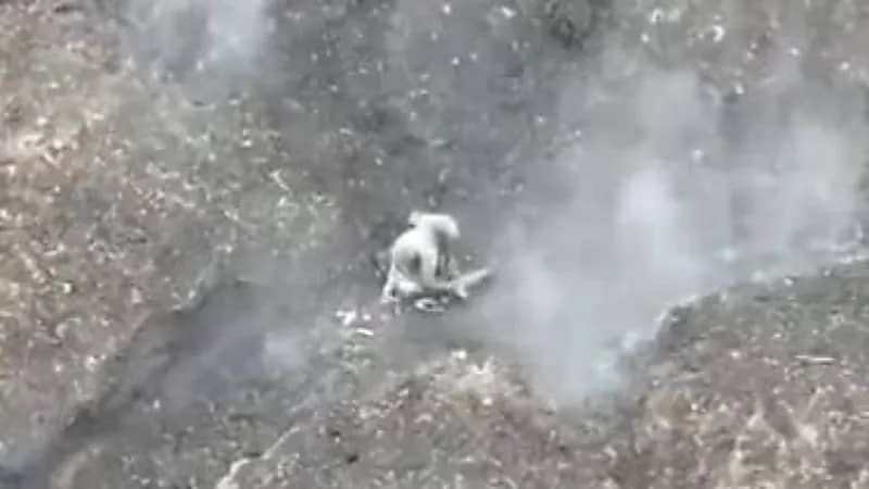 جندي روسي يقتل نفسه بعدما فشل في إسقاط مسيرة أوكرانية