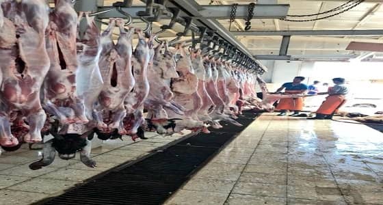 بلدية العويقيلة تستقبل شهر رمضان بتكثيف الرقابة الصحية