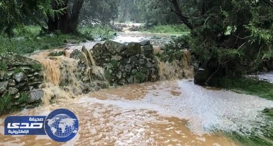 هطول أمطار غزيرة على أبها وبللسمر