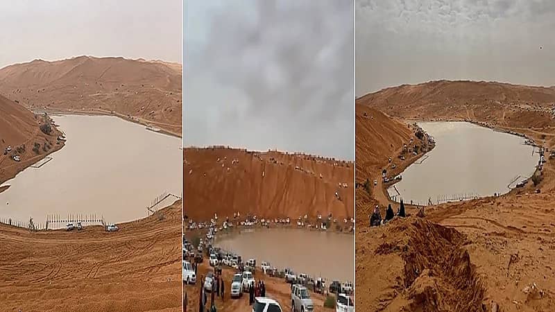 بالفيديو.. روضة الخرارة بالرياض تجذب المتنزهين بعد هطول الأمطار الغزيرة