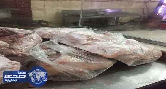 مصادرة 900 كيلو لحوم مذبوحة عشوائيا بمكة