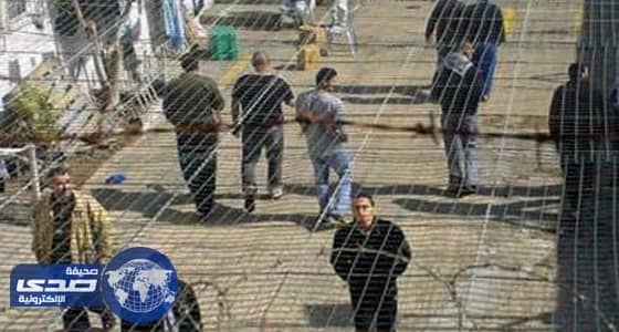 إضراب الأسرى الفلسطينيين يدخل يومه الـ 16 وسط تضامن محلي ودولي واسع