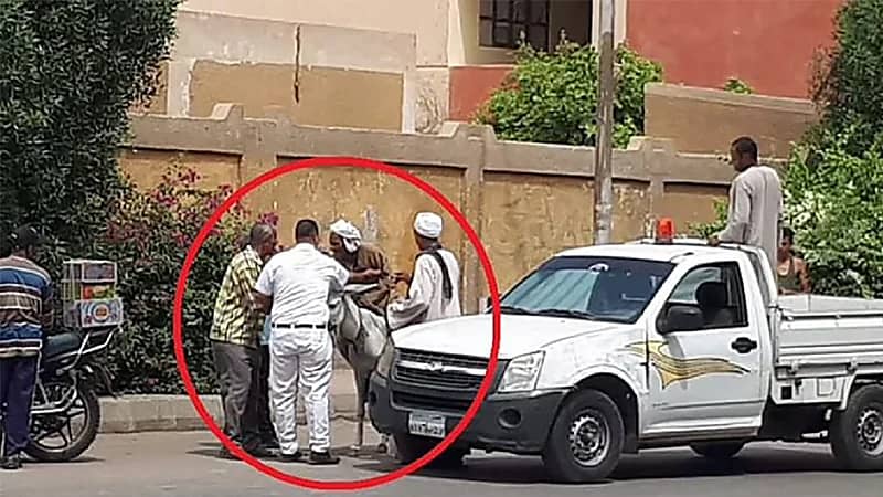 توقيف حمار وصاحبه في مصر لسبب غريب