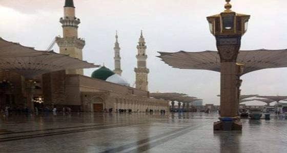 بالفيديو.. زوار المسجد النبوي يبتهلون إلى الله بالدعاء وسط الأمطار