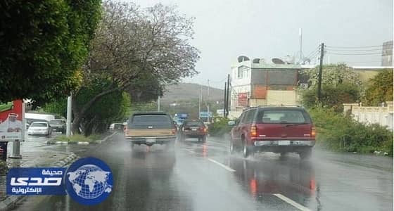 ⁠⁠⁠⁠⁠أمطار متوسطة على محافظة رجال ألمع