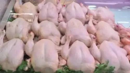 تعرف على أقصى مدة لحفظ اللحوم في الفريزر