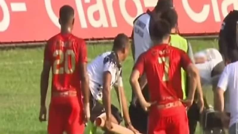 شاهد.. ثعبان يوقف مباراة كرة قدم بعد اقتحام للملعب 