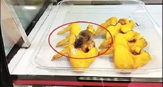 بالفيديو.. فأر يلتهم الدجاج داخل مطعم وجبات سريعة