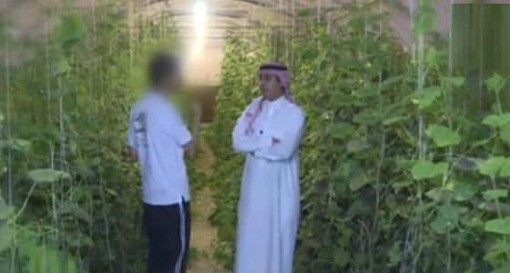 مواطن شاب يوضح كيفية تورطه في القتال بسوريا ودور مواقع التواصل في ذلك