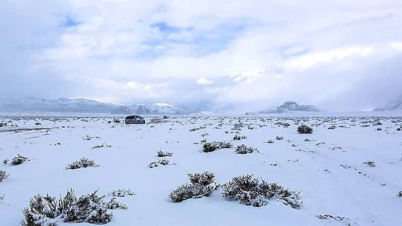 بالفيديو.. الحصيني : ارتدوا ملابس ثقيلة وتجنبوا التعرض المفاجئ للهواء