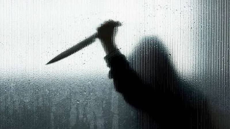 شاب يهدد طالبة بمصير فتاة المنصورة