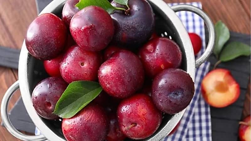 فوائد مذهلة يقدمها البرقوق للنساء بعد سن اليأس