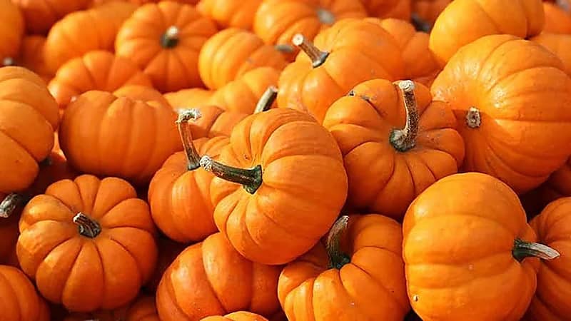 مكون واحد يكمن فيه السر للوقاية من اليوريا والكوليسترول والسكر والدهون الثلاثية