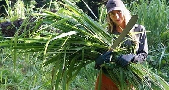 فتاة أسترالية ترفض القيود و تتغذى على أوراق الشجر