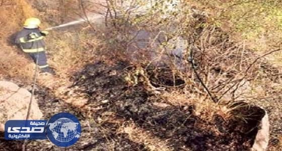 مدني جازان يسيطر على حرائق جبال فيفاء