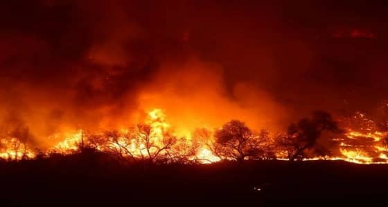 فرق الإطفاء تحرز تقدما في احتواء حرائق جنوب كاليفورنيا و تحذر من أخطار محتملة