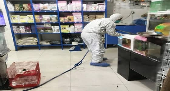 إصابة جديدة بالخرج.. وإبادة 5208 طيور