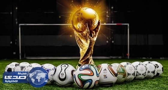 " فيفا " : روسيا تسير طبقا للخطة المحددة