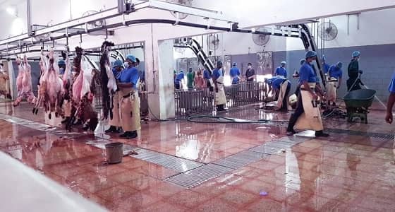 مسالخ الرياض تستعد لشهر رمضان