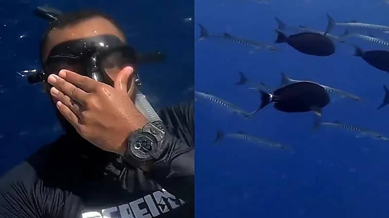 بحّار سعودي يخوض مغامرة مع أسماك القرش في البحر الأحمر.. فيديو