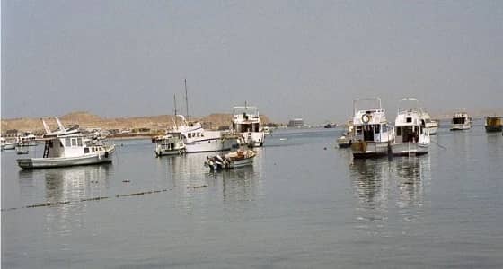 غواص يكتشف سر الأصوات الغريبة في قاع البحر الأحمر