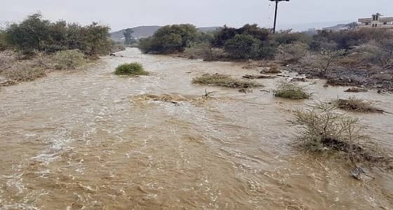 صور.. هطول أمطار غزيرة على البشائر في عسير