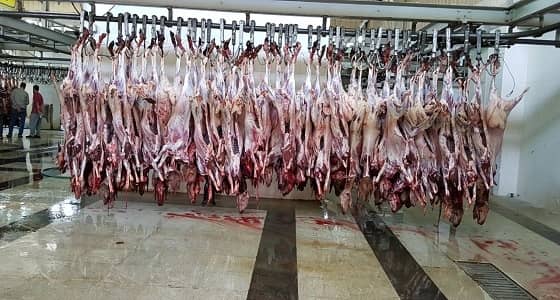 بالصور.. أمانة الرياض تختتم أعمال البرنامج الموسمي لعيد الأضحى