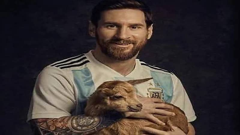 شركة ليز تشكل صورة ميسي باستخدام 808 عنزة .. فيديو