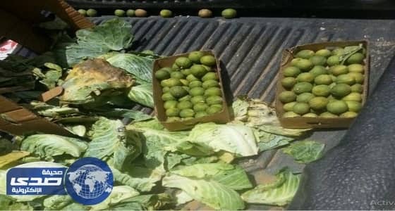 مصادرة نصف طن تمور وخضار فاسد في وادي الدواسر