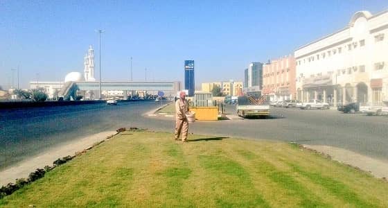بالصور.. صيانة الأشجار والحدائق بطريق " الملك عبدالعزيز " في نجران