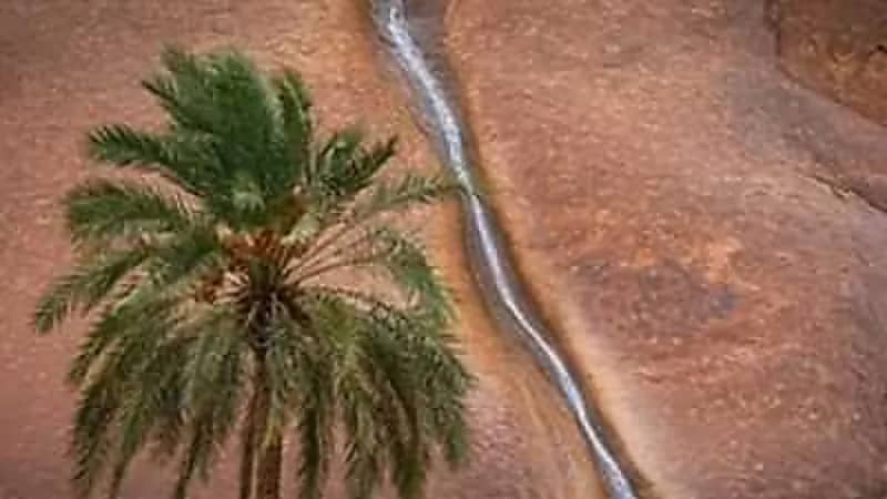 صدفة وخطأ بخدمة الخرائط في حائل تقود مواطن إلى صورة وجائزة "فيديو"